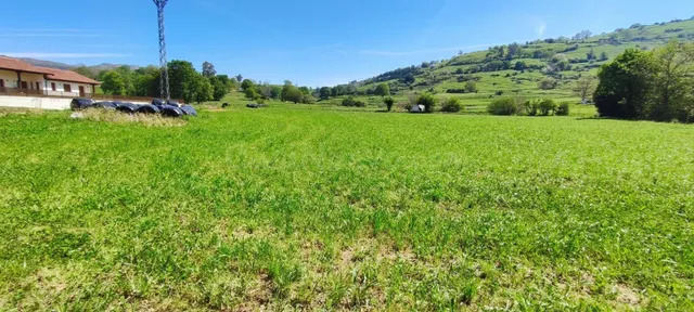 TERRENO DE 6.696 M2. EN LA ZONA DE TORANZO.- - foto 4