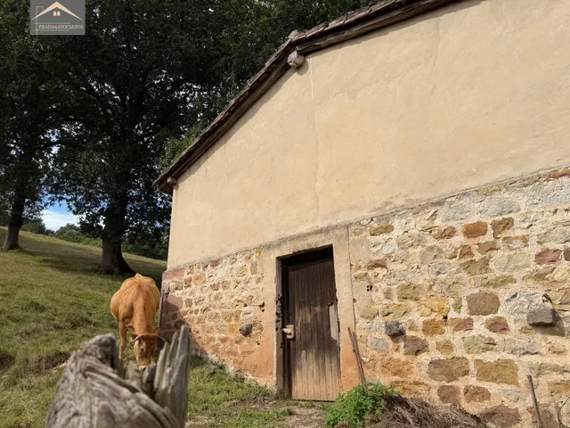 FINCA RUSTICA CON CUADRA EN RUENTE - foto 3