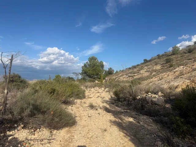 Terreno rústico en venta en tolomó – Aspe (Alicante) — 10