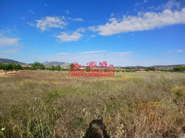 ¡¡ PRECIOSA PARCELA 1979 m2 EN LA ALGUEÑA !! - foto 5