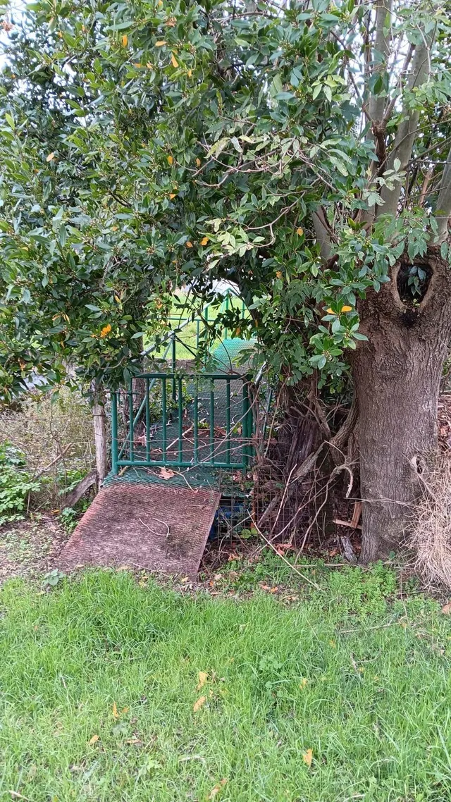 Venta terreno urbano en el Valle De Mena — 5