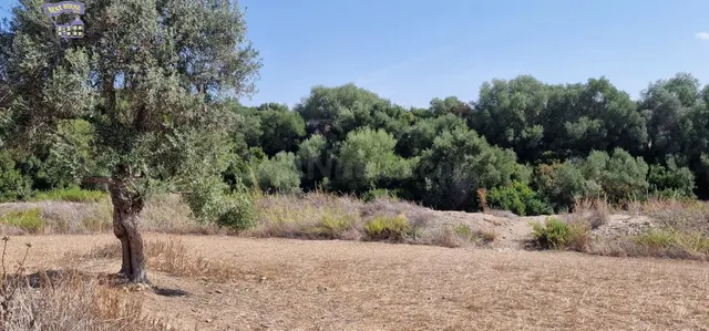 SE VENDE PARCELA EN CARRETERA ARCOS-ALGAR