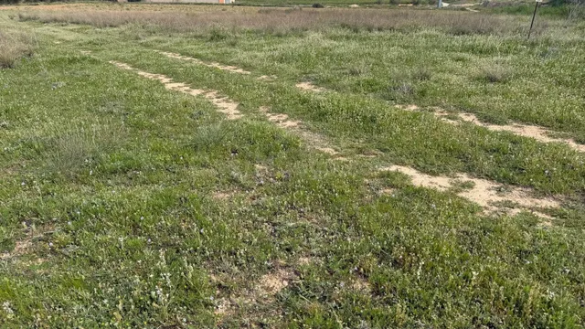 Se vende parcela rústica en Abengibre, Albacete.