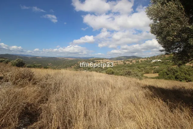 Finca rústica de 37.570 m² en Casares, Costa del Sol — 10