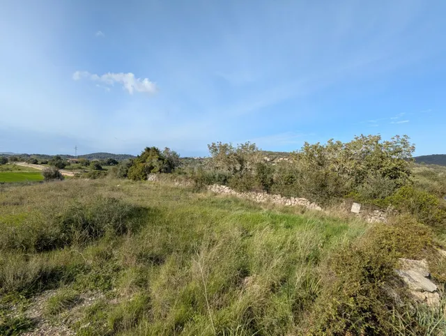SOLAR RUSTICO EN SON SERVERA. - foto 4