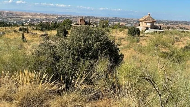 TOLEDO , ZONA DE LA POZUELA , SUELO URBANO DE 8120M2 — 6