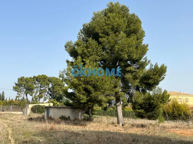 CHALET EL GUARRACH — 50