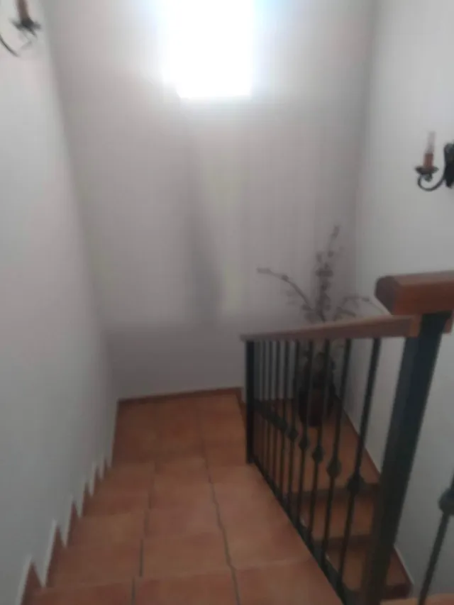 Chalet 4 habitaciones 196m² en venta - El campito — 26
