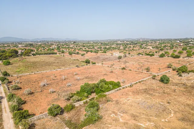 Finca rústica para construir en la carretera de s'Illot - Portocristo — 14