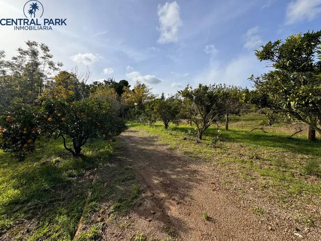 Gran Masia catalogada en Reus con gran extensión de terreno - Mas del Senan - Finca rústica en Reus. — 42
