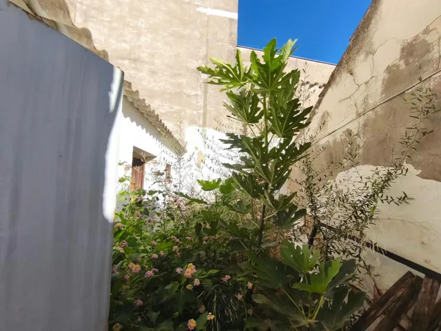 CASA PARA REFORMAR EN EL CARPIO, A ESCASOS METROS DEL CENTRO - foto 3