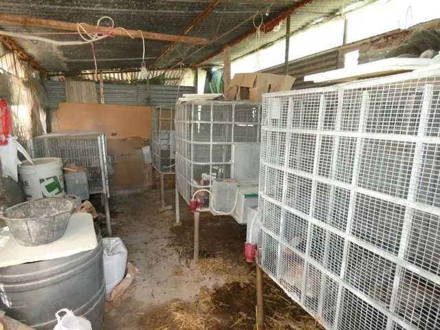 ++Chalet en Alguazas,++zona huerta++ 60 m — 13
