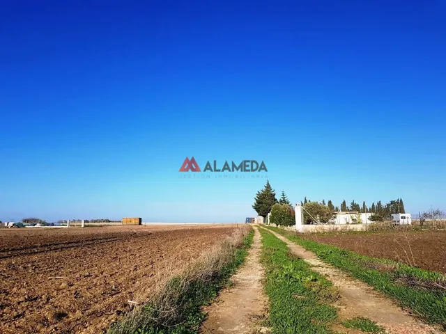 PARCELA SEGREGADA MIRALAMAR — 4