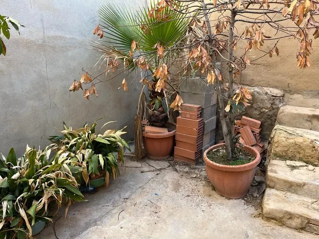 Casa 4 habitaciones 249m² en venta - San Roque — 12