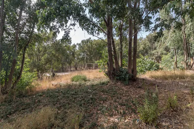 Parcela en venta - Costa del Sol — 9