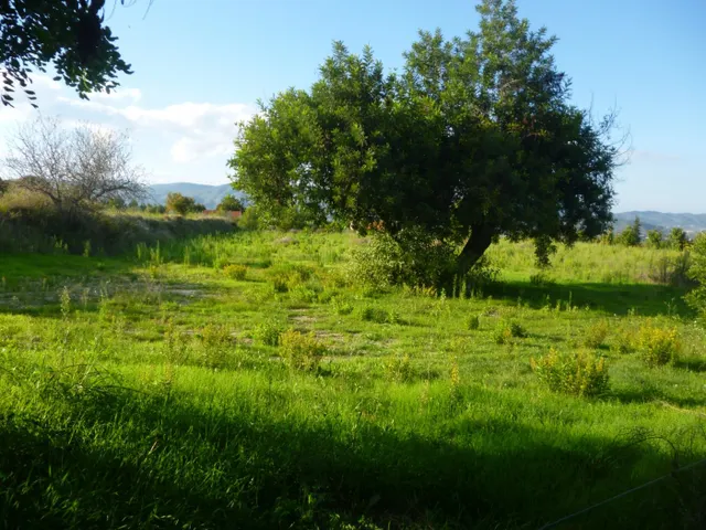 Terreno en Camí Vell de Alfafara — 7