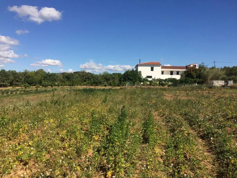 MASIA DEL 1960 CON 39000M2 DE TERRENO AGRICOLA AL LADO DEL MAR DE SANT SALVADOR