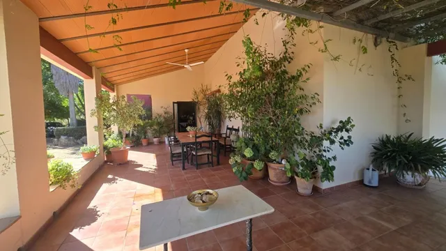 Magnífica casa de campo con piscina y vistas a Moguer, en finca de casi 15.000 m2 — 4