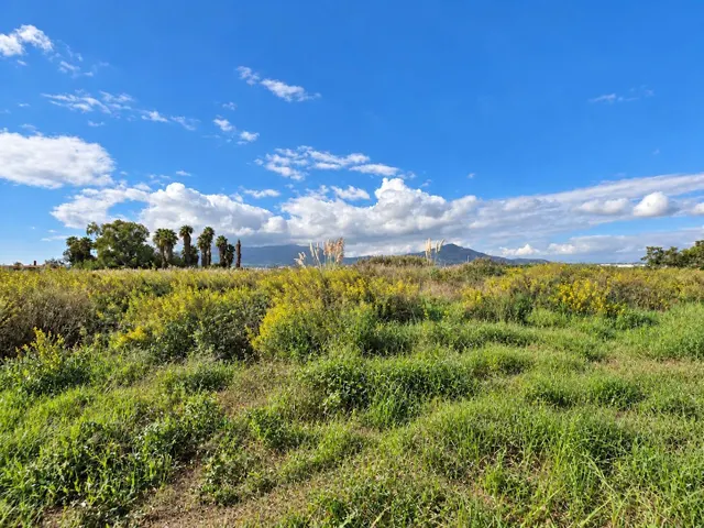 Finca rústica de 6.705 m2 en la zona de els ullals de baltasar, Amposta — 12