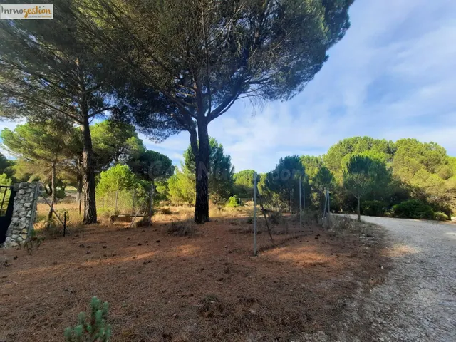 EN VENTA TERRENO RÚSTICO, TUDELA DE DUERO - foto 3