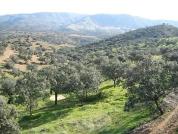 "Finca de Ensueño en Hornachuelos: Caza, Naturaleza y Confort" — 36