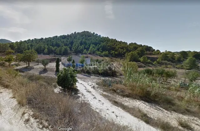 Terreno rural en venta - Fortuna - foto 3