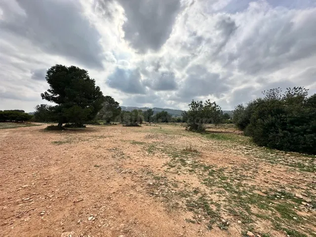 SE VENDE TERRENO RÚSTICO EN CHIVA