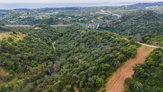Finca rústica agrícola de 31.000 m² en Estepona-San Pedro Al - foto 3