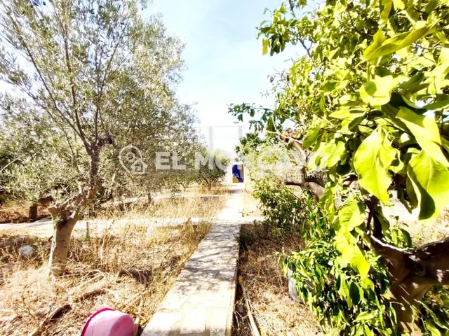 Fantástica parcela para construir en Ciudad Quesada, Rojales - foto 2