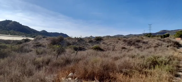 PARCELA 30.000 METROS DE TERRENO — 14