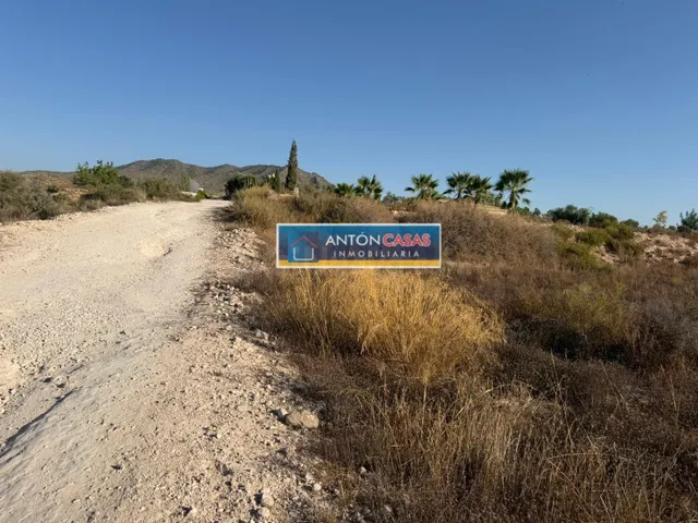 VENTA DE TERRENOS EN HORNA ALTA - NOVELDA - foto 2