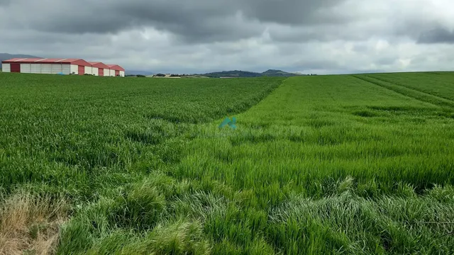 Se vende terreno industrial en La Puebla de Arganzón - foto 5
