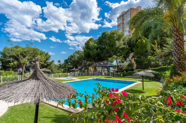 Precioso apartamento con vistas al mar - playa muchavista — 33