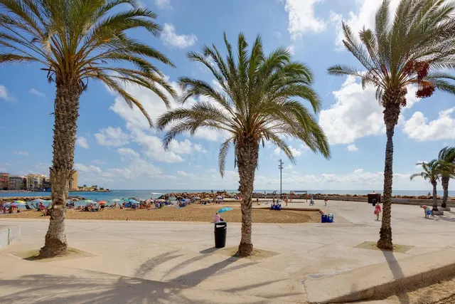 Apartamento 1 habitación 35m² en venta - Nueva Torrevieja — 34