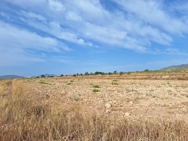 ¡Parcela edificable de 16.964 m2, vallada, con camino perimetral, agua de riego e informe urbanístico disponible, a solo 5 minutos de Pinoso! — 30