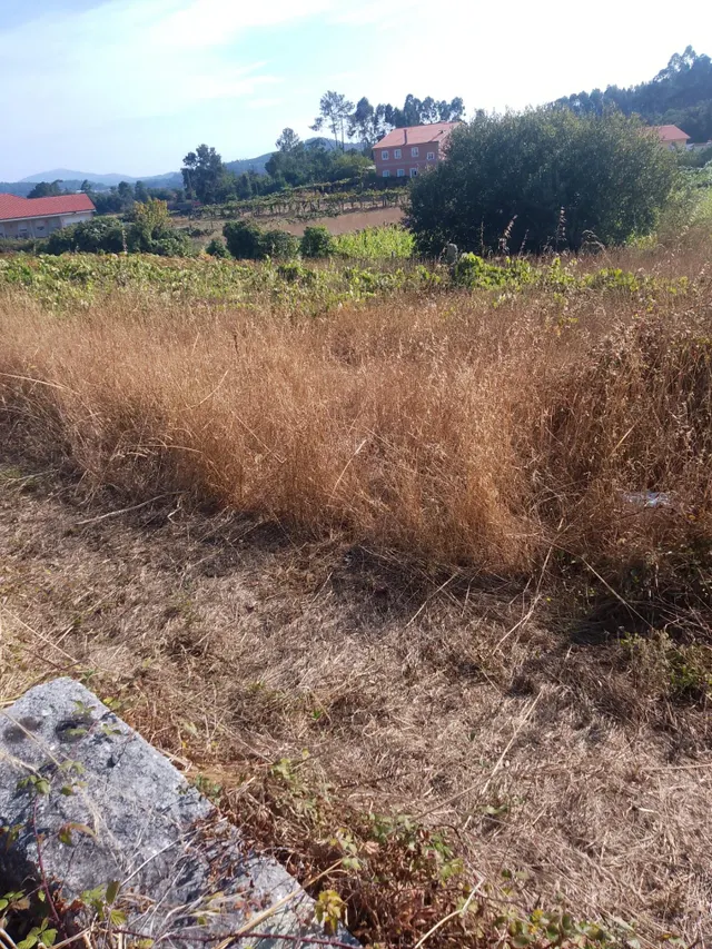 Terreno en Veiga da Vila  -  Meis  (Pontevedra) — 8