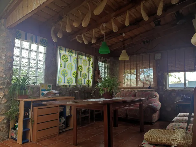 Casa de campo con 5.170 m2 de parcela a 9 min de Pinoso — 11