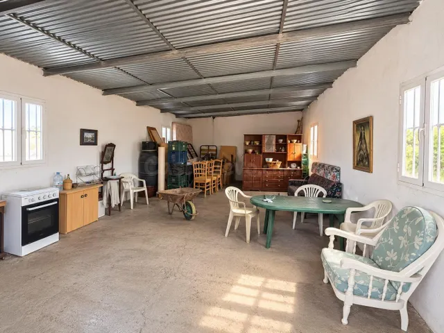 SANTA FE DE MONDÚJAR (ALMERÍA) Finca de regadío en producció - foto 2