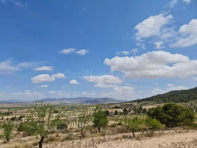 Parcela 1500m² en venta - Ayuntamiento - foto 3