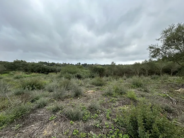 Parcela 1444m² en venta - Sotogrande Costa — 7