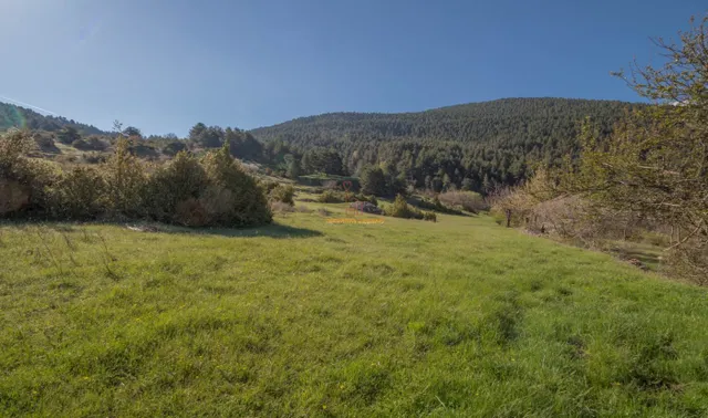 Gran finca con casa a rehabilitar — 21
