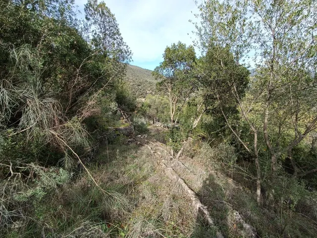 VENTA PARCELA. ZONA TAVIZNA - foto 3