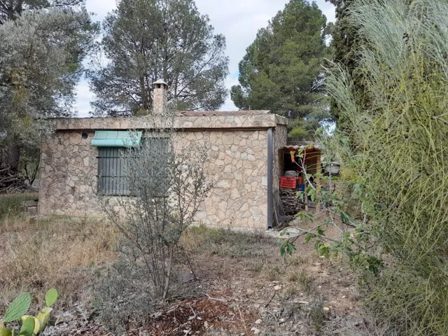 OPORTUNIDAD FINCA RUSTICA DE REGADIO CON CASA DE CAMPO EQUIPADA EN ASCO — 9