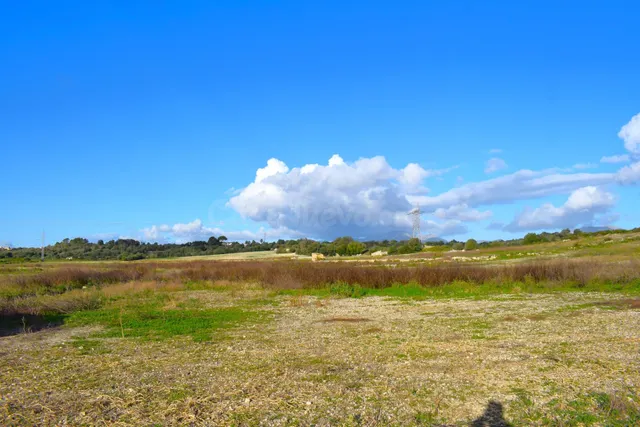 Finca rústica con posibilidad de construir una vivienda en M - foto 3