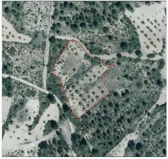 Terreno rural en venta - Requena - foto 2