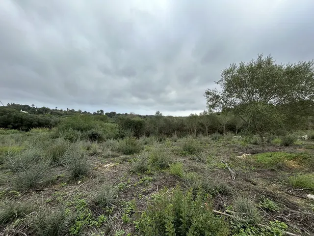 Parcela 1444m² en venta - Sotogrande Costa — 6