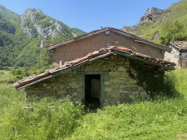 DOS CUADRAS, UNA CABAÑA Y FINCA EN CUEVAS, CON AGUA DE MANAN - foto 3