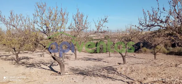Terreno-parcela en Purias — 13