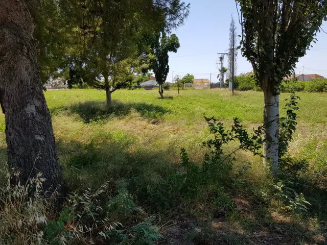 ESTUPENDA PARCELA DE 1800M EN ZONA DE LOS RAMOS/TORREAGUERA - foto 2