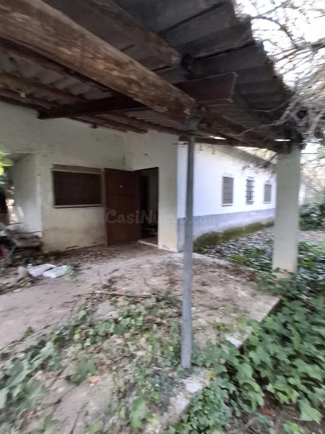 FINCA CON VIVIENDA PARA ALQUILER - foto 5